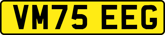 VM75EEG