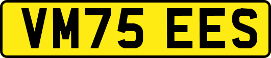 VM75EES