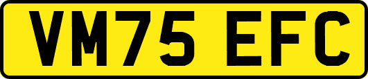 VM75EFC