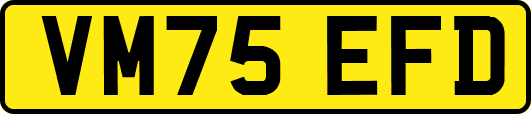 VM75EFD