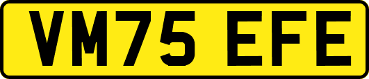 VM75EFE