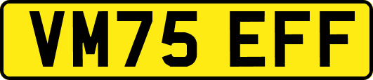 VM75EFF