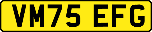 VM75EFG