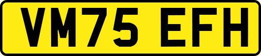 VM75EFH