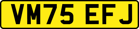 VM75EFJ