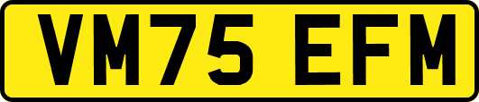 VM75EFM