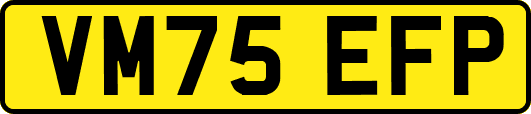 VM75EFP