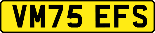 VM75EFS