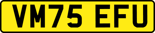VM75EFU