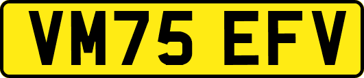 VM75EFV