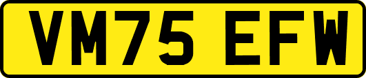 VM75EFW
