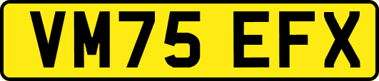 VM75EFX