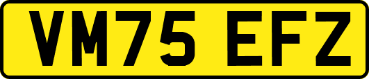 VM75EFZ