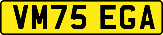 VM75EGA