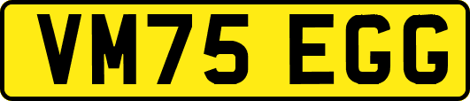 VM75EGG
