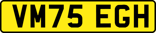 VM75EGH