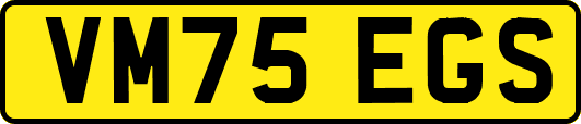 VM75EGS