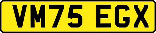 VM75EGX