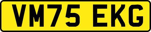 VM75EKG