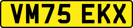 VM75EKX