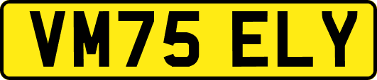 VM75ELY