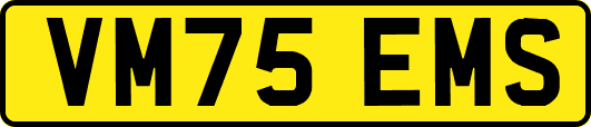 VM75EMS