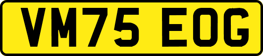 VM75EOG