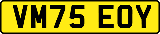 VM75EOY