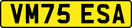 VM75ESA