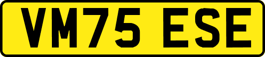 VM75ESE