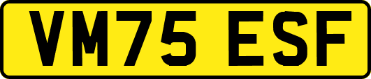 VM75ESF