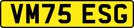 VM75ESG