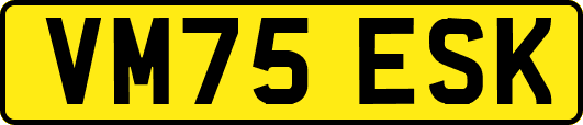 VM75ESK