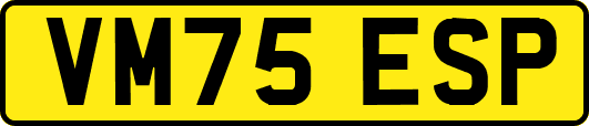 VM75ESP