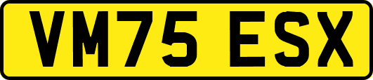 VM75ESX