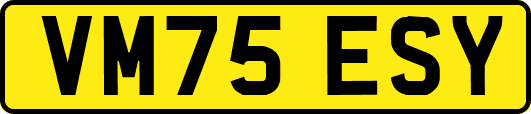 VM75ESY