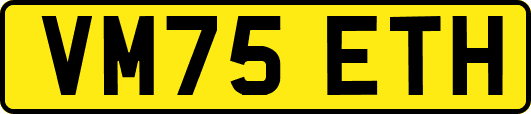 VM75ETH