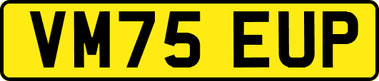 VM75EUP
