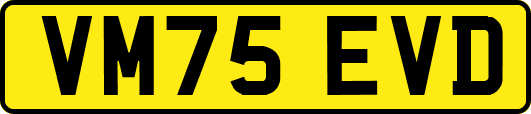 VM75EVD