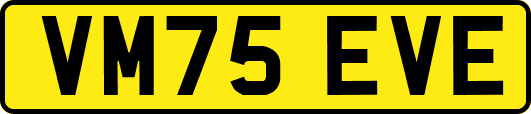 VM75EVE