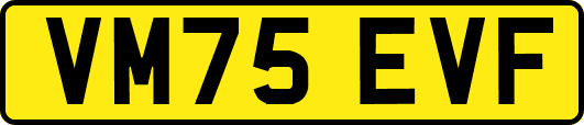 VM75EVF