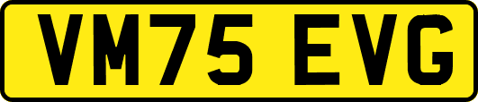 VM75EVG