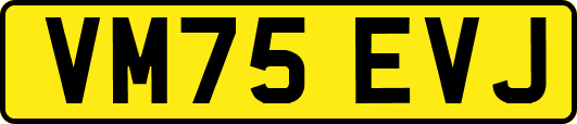 VM75EVJ
