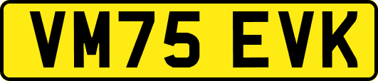 VM75EVK