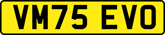 VM75EVO
