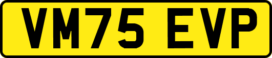VM75EVP