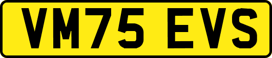 VM75EVS