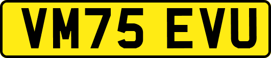 VM75EVU
