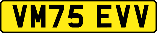 VM75EVV