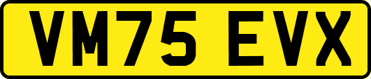 VM75EVX